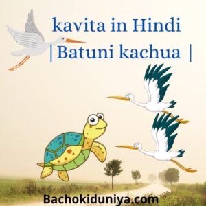 kavita in hindi