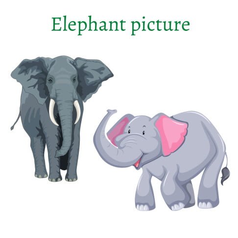 cartoon pic of elephant for kids